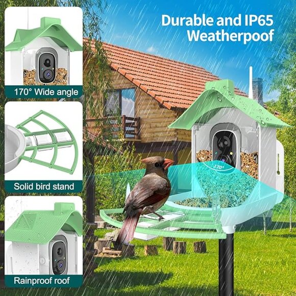 Smart Bird Feeder Camera AI Bird identification, Photos/Videos Phone App - Picture 3 of 8